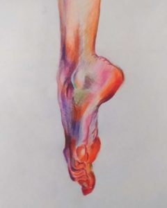 Estudio anatómico pie